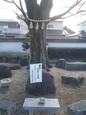 観音院(愛知県)