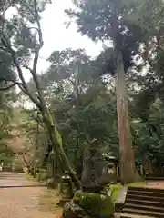 等彌神社(奈良県)