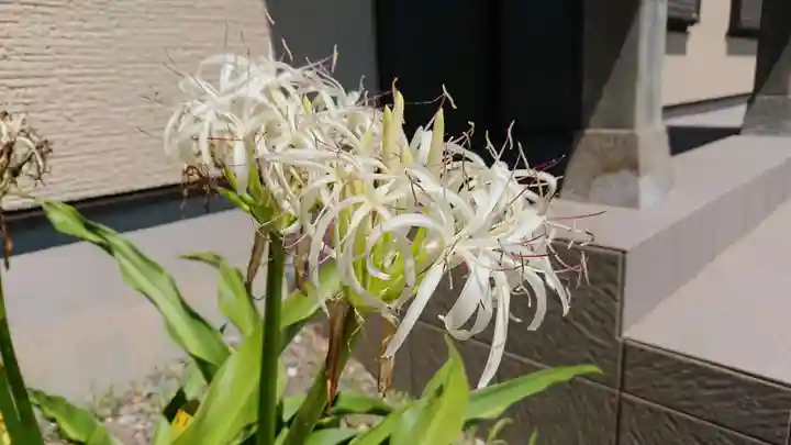 大瀬神社の自然