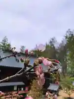 滑川神社 - 仕事と子どもの守り神(福島県)