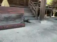 鷹見神社(福岡県)