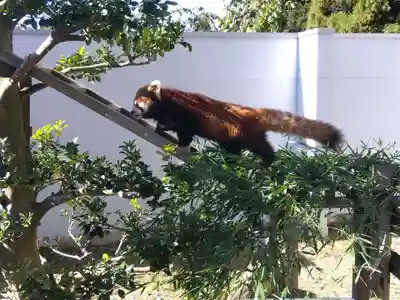 妙法寺(福井県)