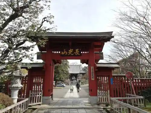 妙蓮寺の山門