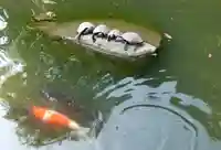 出雲大社北島国造館 出雲教(島根県)