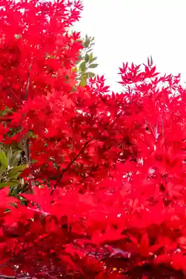 梨木神社(京都府)