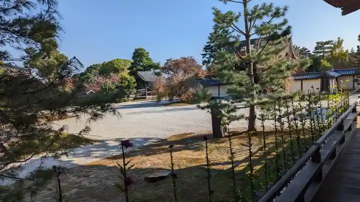 大覚寺(京都府)