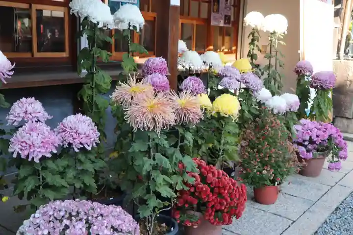 葛井寺(大阪府)