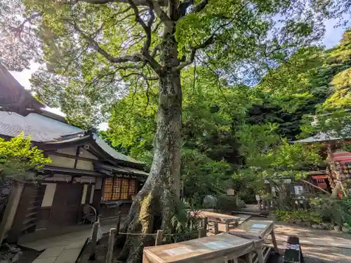荏柄天神社(神奈川県)