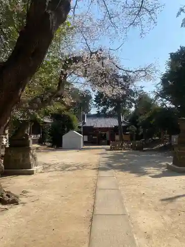 中山神社の本殿・本堂