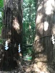 石楯尾神社の自然