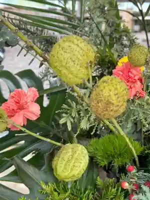 温泉神社〜いわき湯本温泉〜の手水舎