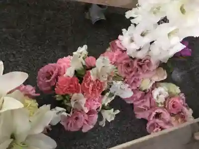 彌彦神社　(伊夜日子神社)の手水舎