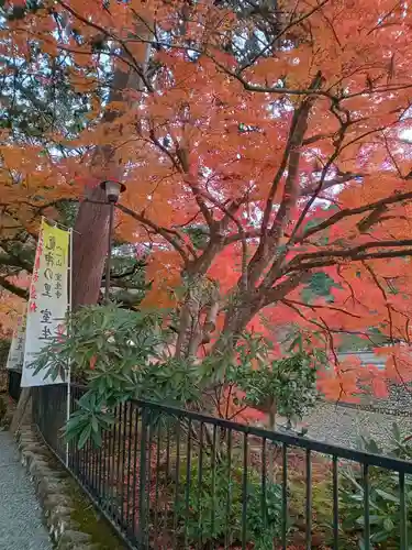 室生寺(奈良県)