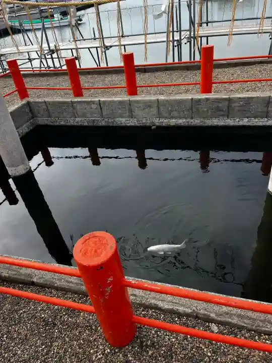 息栖神社の{uncategorized: "未分類", other: "その他", undefined: "問題あり", building: "その他建物", grave: "お墓", sacred_gate: "鳥居", guardian: "狛犬", statue: "像", buddha: "仏像", history: "歴史", nature: "自然", garden: "庭園", animal: "動物", pagoda: "塔", temizu: "手水舎", mountain_gate: "山門・神門", sanctuary: "本殿・本堂", subordinate: "末社・摂社", art: "芸術", scenery: "景色", jizo: "地蔵", ema: "絵馬", goshuin: "御朱印", omikuji: "おみくじ", items: "授与品その他", amulet: "お守り", goshuincho: "御朱印帳", eats: "食事", festival: "お祭り", votive_dance: "神楽", shichigosan: "七五三参", wedding: "結婚式", experience: "体験その他", initially: "初詣", around: "周辺", anti_infection: "感染症対策"}
