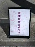 日蓮宗 浄運寺の{uncategorized: "未分類", other: "その他", undefined: "問題あり", building: "その他建物", grave: "お墓", sacred_gate: "鳥居", guardian: "狛犬", statue: "像", buddha: "仏像", history: "歴史", nature: "自然", garden: "庭園", animal: "動物", pagoda: "塔", temizu: "手水舎", mountain_gate: "山門・神門", sanctuary: "本殿・本堂", subordinate: "末社・摂社", art: "芸術", scenery: "景色", jizo: "地蔵", ema: "絵馬", goshuin: "御朱印", omikuji: "おみくじ", items: "授与品その他", amulet: "お守り", goshuincho: "御朱印帳", eats: "食事", festival: "お祭り", votive_dance: "神楽", shichigosan: "七五三参", wedding: "結婚式", experience: "体験その他", initially: "初詣", around: "周辺", anti_infection: "感染症対策"}