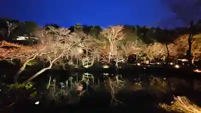 高台寺（高台寿聖禅寺・高臺寺）(京都府)