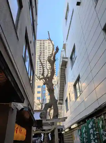 少彦名神社(大阪府)