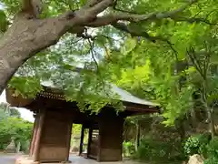 普門寺(切り絵御朱印発祥の寺)(愛知県)