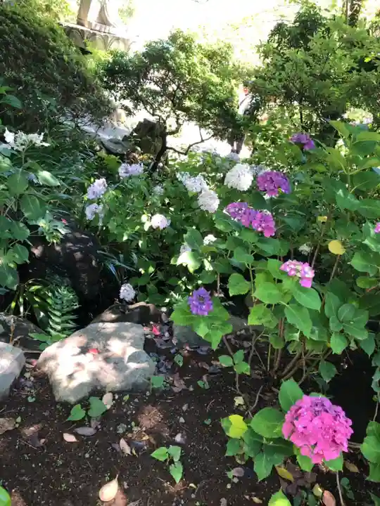 高幡不動尊 金剛寺の自然