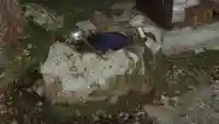 湯神神社の手水舎