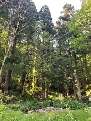 本道寺口之宮湯殿山神社の{uncategorized: "未分類", other: "その他", undefined: "問題あり", building: "その他建物", grave: "お墓", sacred_gate: "鳥居", guardian: "狛犬", statue: "像", buddha: "仏像", history: "歴史", nature: "自然", garden: "庭園", animal: "動物", pagoda: "塔", temizu: "手水舎", mountain_gate: "山門・神門", sanctuary: "本殿・本堂", subordinate: "末社・摂社", art: "芸術", scenery: "景色", jizo: "地蔵", ema: "絵馬", goshuin: "御朱印", omikuji: "おみくじ", items: "授与品その他", amulet: "お守り", goshuincho: "御朱印帳", eats: "食事", festival: "お祭り", votive_dance: "神楽", shichigosan: "七五三参", wedding: "結婚式", experience: "体験その他", initially: "初詣", around: "周辺", anti_infection: "感染症対策"}