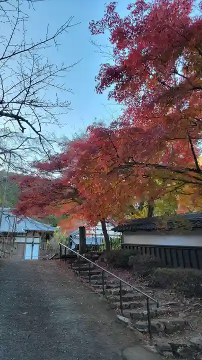 清滝寺徳源院(滋賀県)