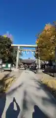 浅草神社の鳥居