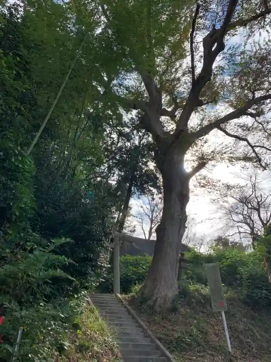 福王神社(千葉県)