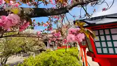 六孫王神社(京都府)