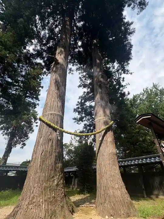 守りの神 藤基神社(新潟県)