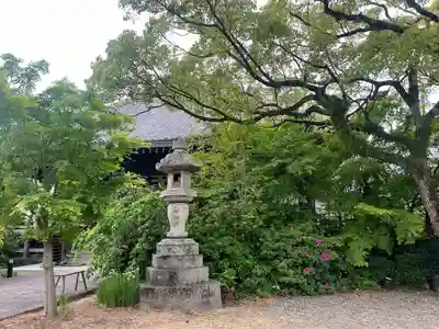 普元寺(愛知県)