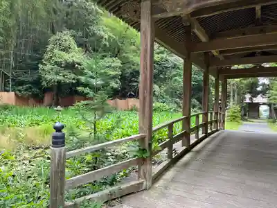 竹林寺(広島県)