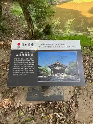 白兎神社(鳥取県)