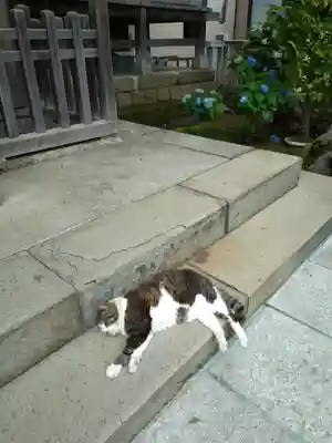 白山神社(東京都)