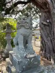 川島神社(徳島県)