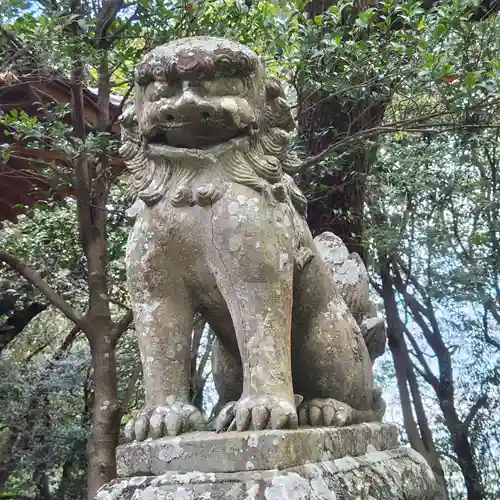 海童神社の狛犬