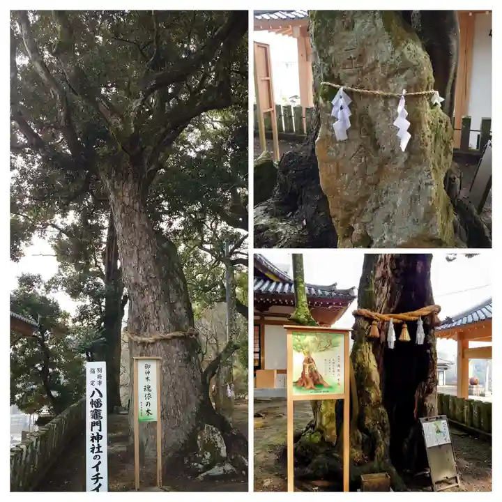 八幡竃門神社(大分県)