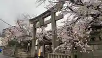 天孫神社の{uncategorized: "未分類", other: "その他", undefined: "問題あり", building: "その他建物", grave: "お墓", sacred_gate: "鳥居", guardian: "狛犬", statue: "像", buddha: "仏像", history: "歴史", nature: "自然", garden: "庭園", animal: "動物", pagoda: "塔", temizu: "手水舎", mountain_gate: "山門・神門", sanctuary: "本殿・本堂", subordinate: "末社・摂社", art: "芸術", scenery: "景色", jizo: "地蔵", ema: "絵馬", goshuin: "御朱印", omikuji: "おみくじ", items: "授与品その他", amulet: "お守り", goshuincho: "御朱印帳", eats: "食事", festival: "お祭り", votive_dance: "神楽", shichigosan: "七五三参", wedding: "結婚式", experience: "体験その他", initially: "初詣", around: "周辺", anti_infection: "感染症対策"}
