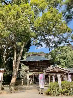 櫻井神社(福岡県)