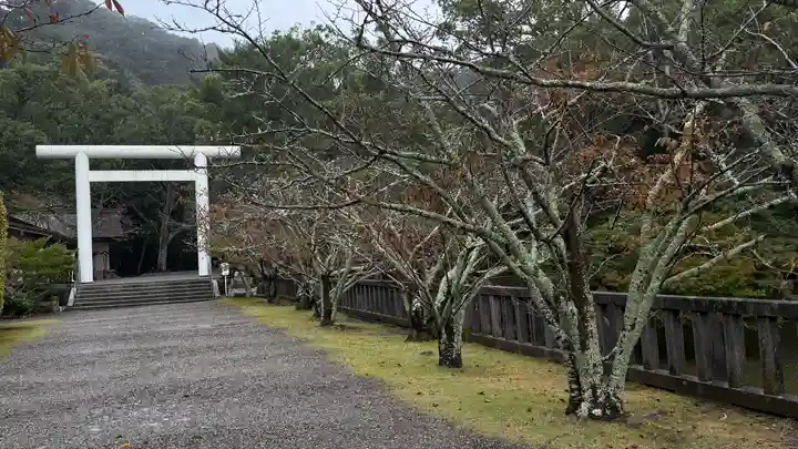 安房神社(千葉県)