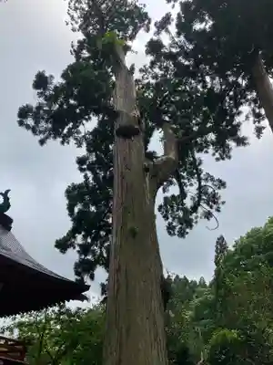 円覚寺(青森県)