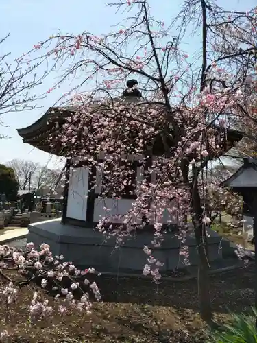 普済寺の末社・摂社