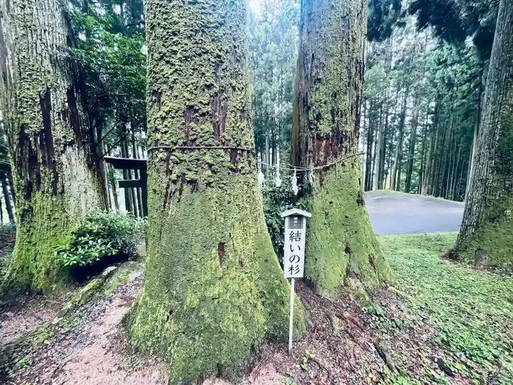 槻神社(愛知県)