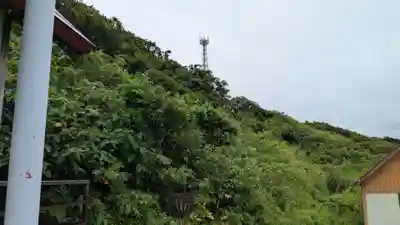 小平神社の自然