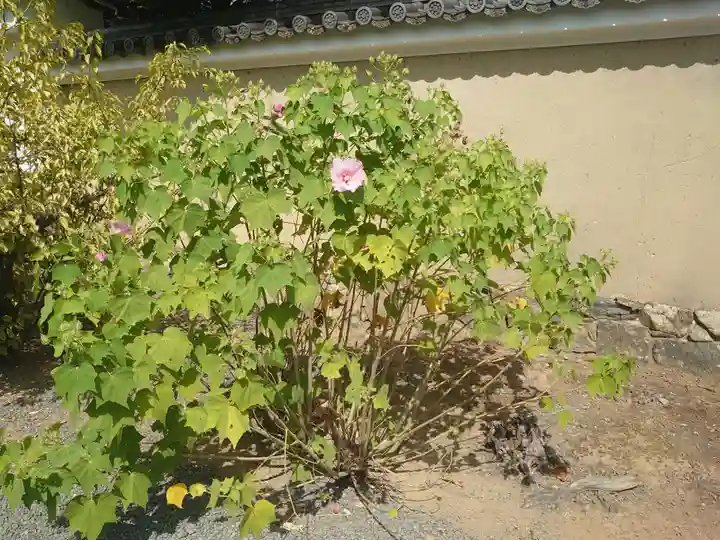 天龍寺(京都府)