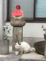 遍照院(念宗寺)の動物