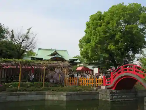 亀戸天神社の庭園