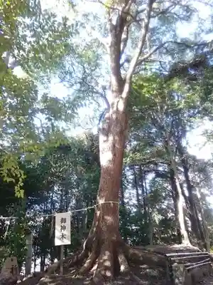 八柱神社の自然