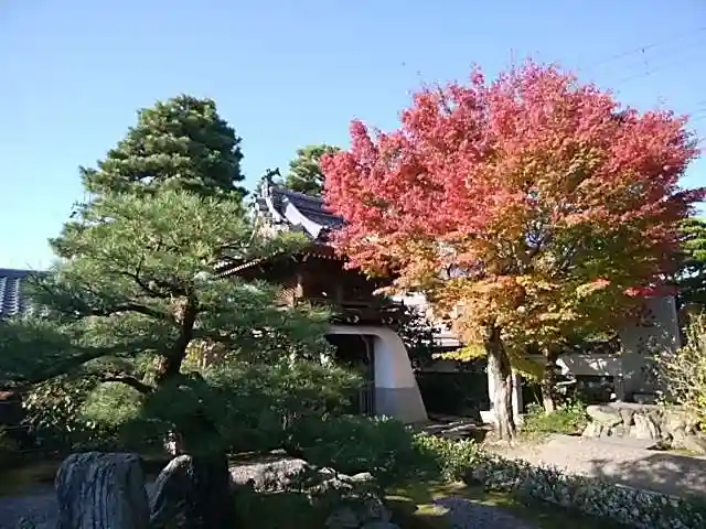 満月寺(浮御堂)の自然