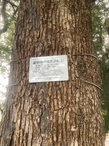 青海山　薬師寺の歴史